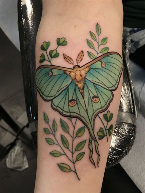 moth shin tattoo|30 Best Moth Tattoo Ideas You Should Check